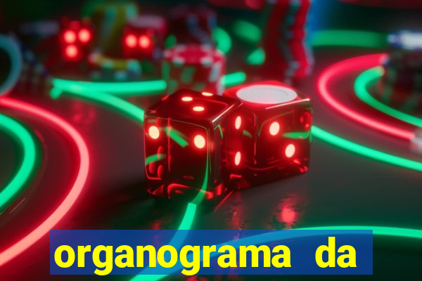 organograma da cacau show
