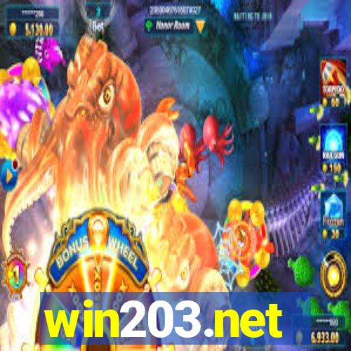 win203.net