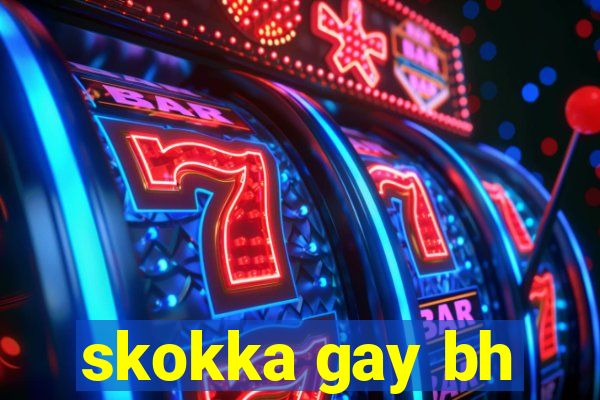 skokka gay bh