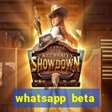 whatsapp beta 3.3.10 2024