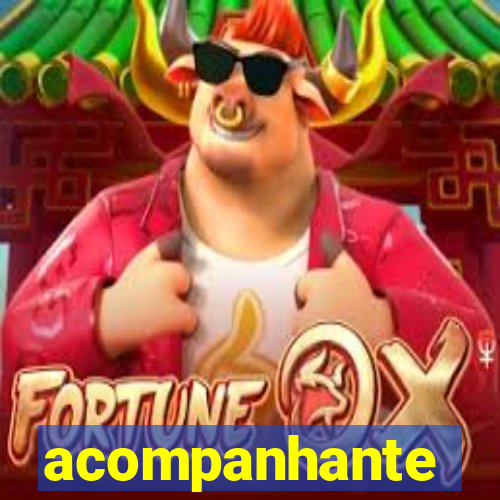 acompanhante masculino porto velho