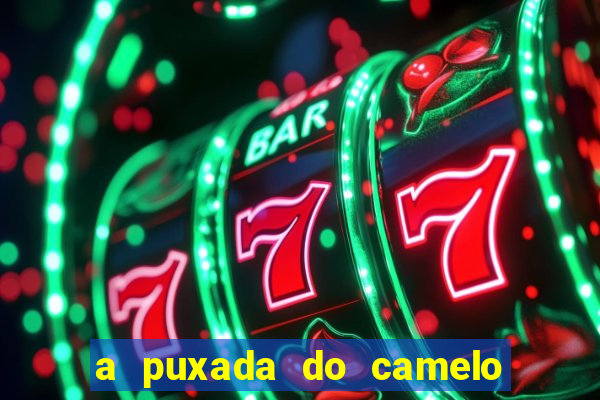 a puxada do camelo no jogo do bicho