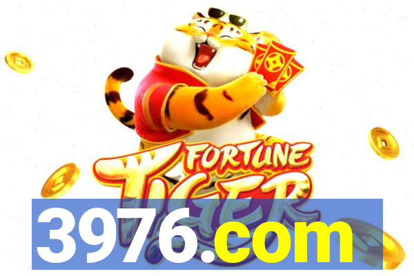 3976.com