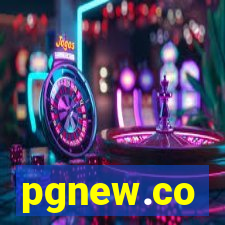 pgnew.co