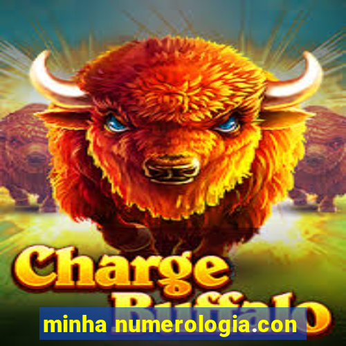 minha numerologia.con