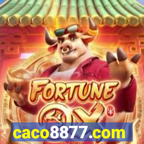 caco8877.com