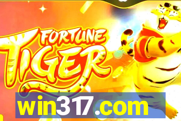 win317.com
