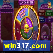 win317.com
