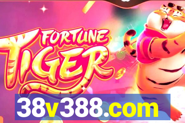 38v388.com