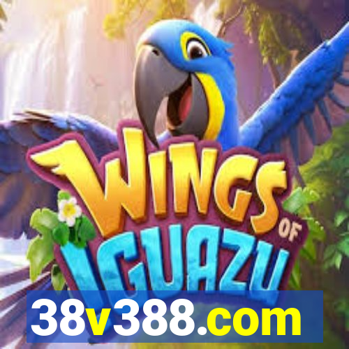38v388.com