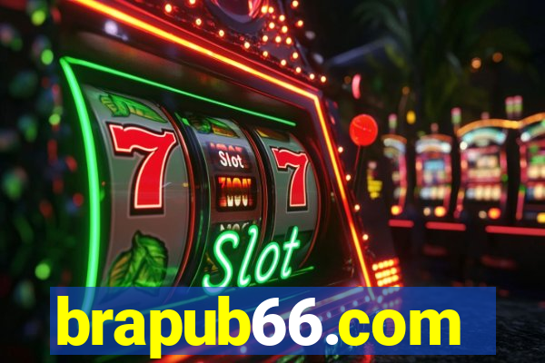 brapub66.com