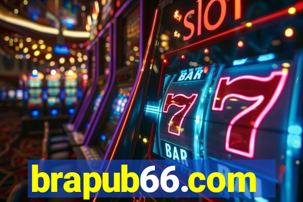 brapub66.com