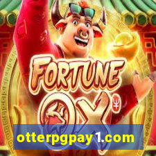 otterpgpay1.com