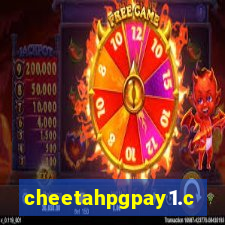 cheetahpgpay1.com