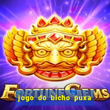 jogo do bicho puxa de dona maria