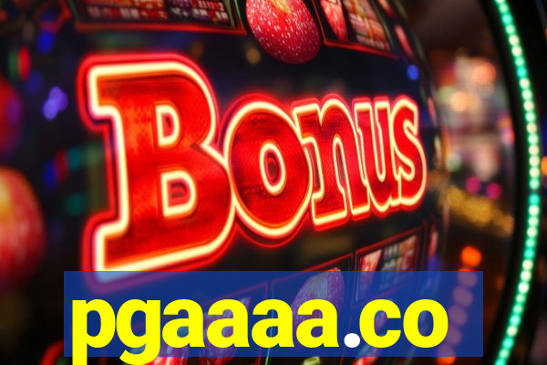 pgaaaa.co