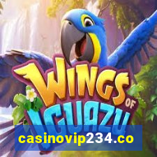 casinovip234.com