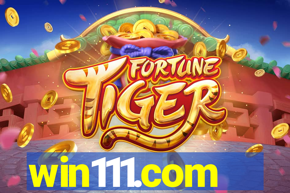 win111.com