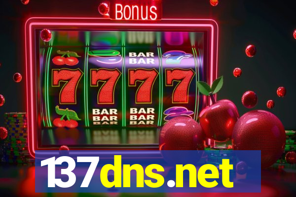 137dns.net