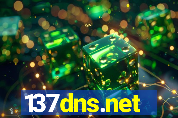 137dns.net