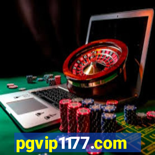 pgvip1177.com