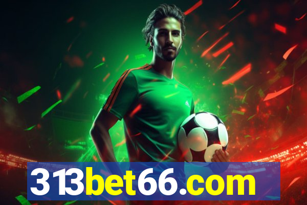 313bet66.com