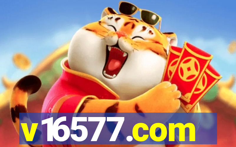 v16577.com