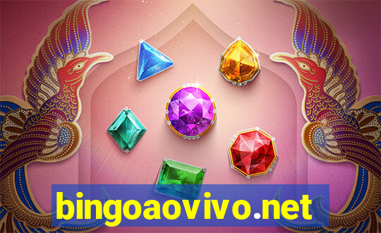 bingoaovivo.net