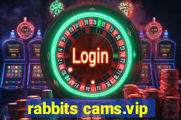 rabbits cams.vip