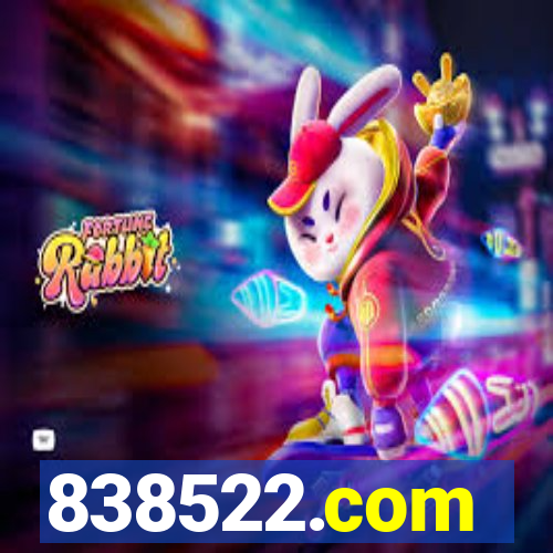 838522.com