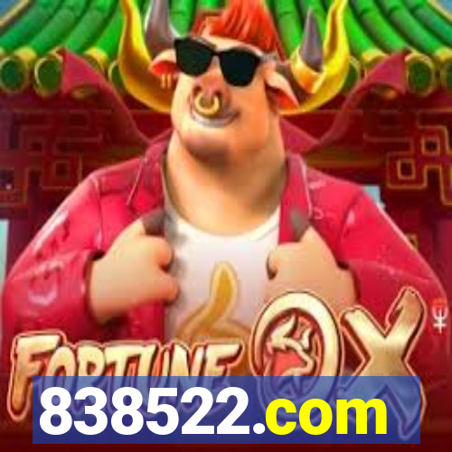 838522.com