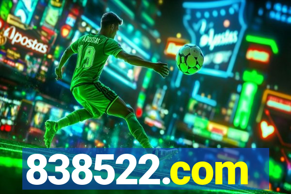 838522.com