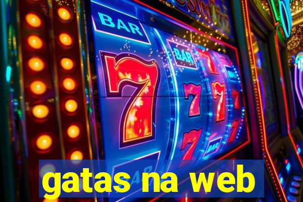 gatas na web