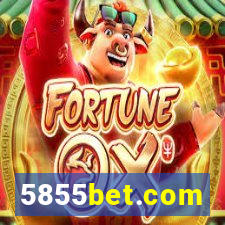5855bet.com