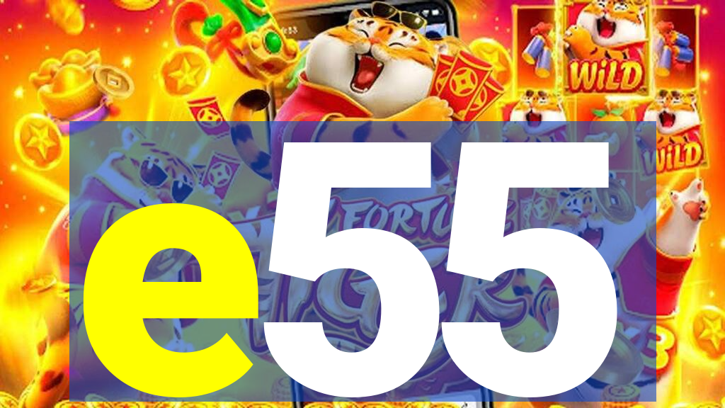 e55