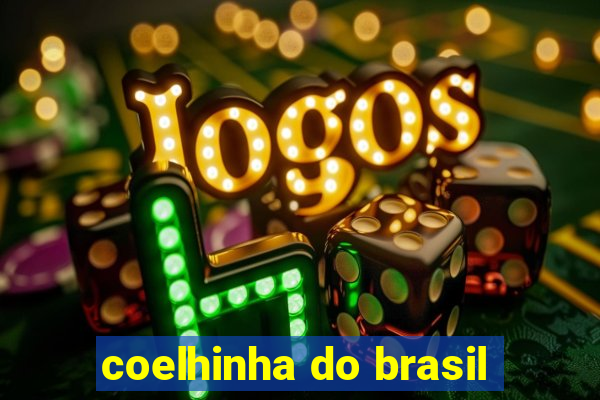 coelhinha do brasil