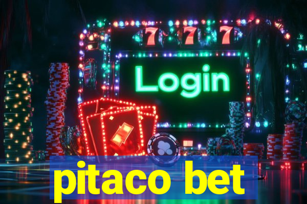 pitaco bet
