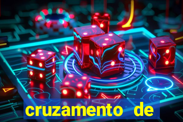 cruzamento de cavalo com mula