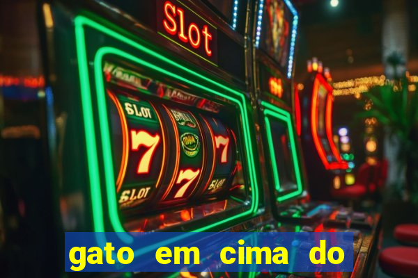 gato em cima do telhado significado espiritual