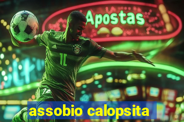 assobio calopsita