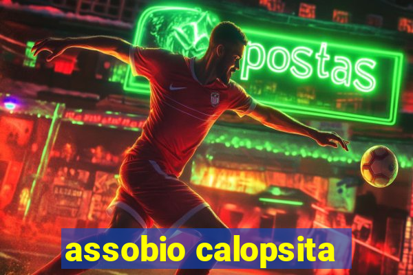 assobio calopsita