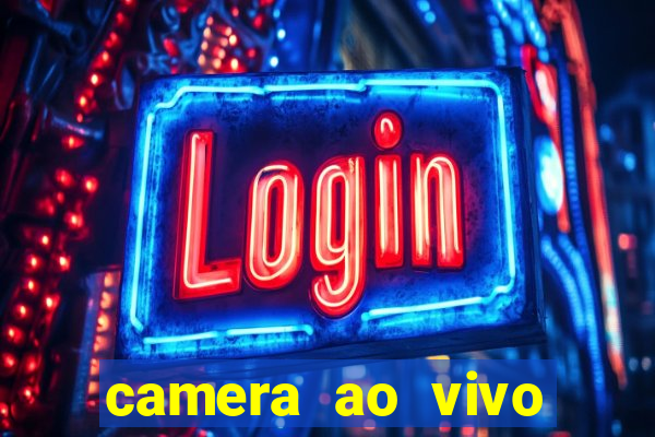 camera ao vivo beto carrero