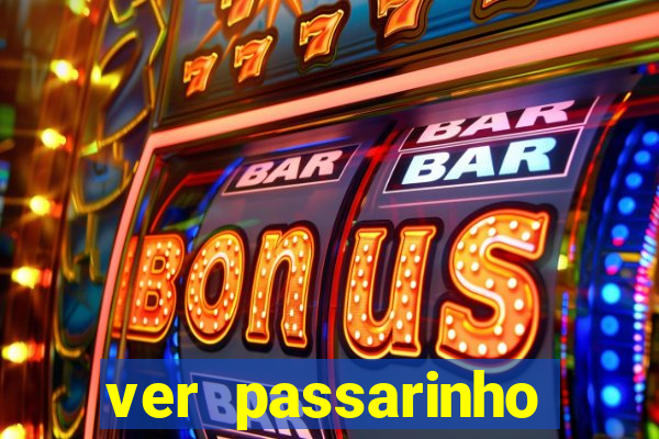 ver passarinho morto significado