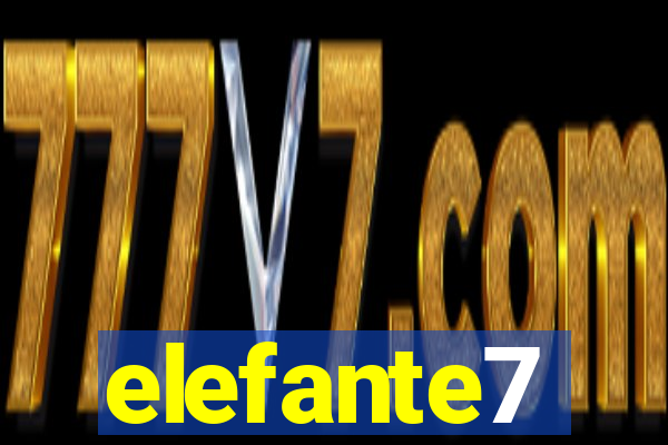 elefante7