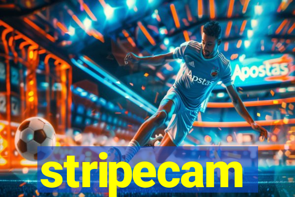 stripecam