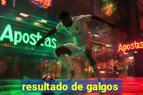 resultado de galgos