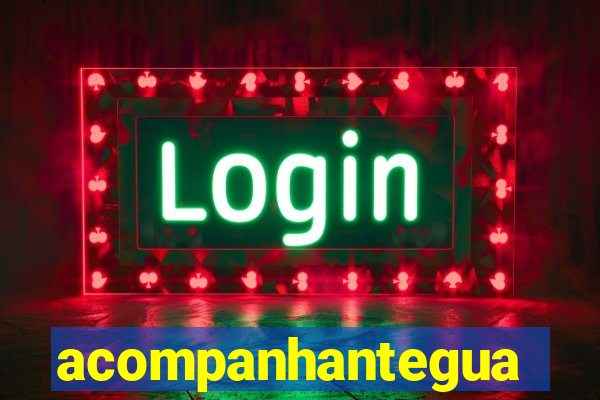 acompanhanteguanambi