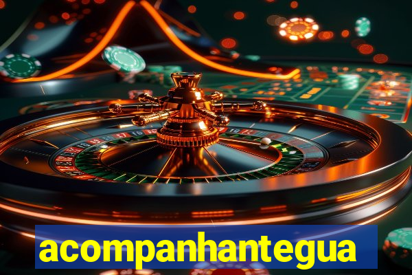 acompanhanteguanambi