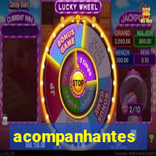 acompanhantes cruzeiro sp
