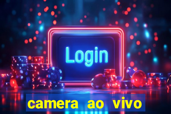 camera ao vivo terminal vila nova cachoeirinha